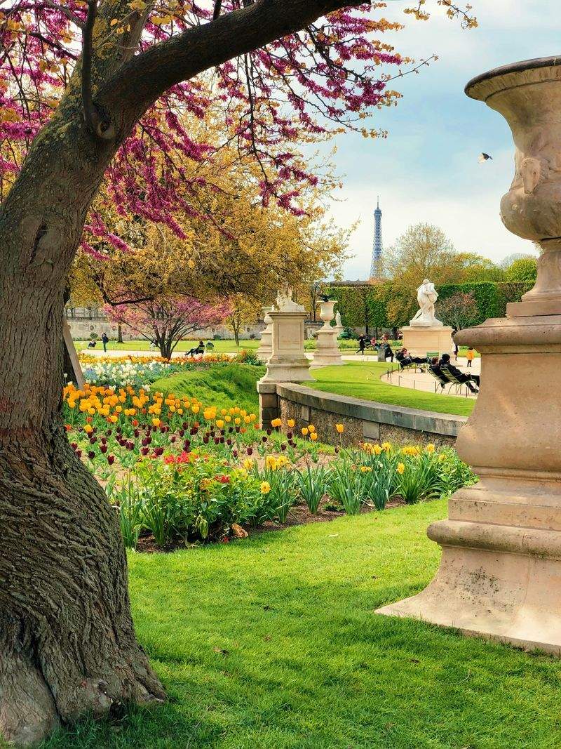 Garden design and planting plans