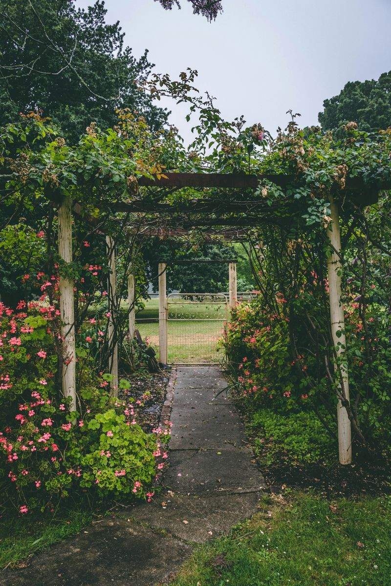 Seasonal garden maintenance