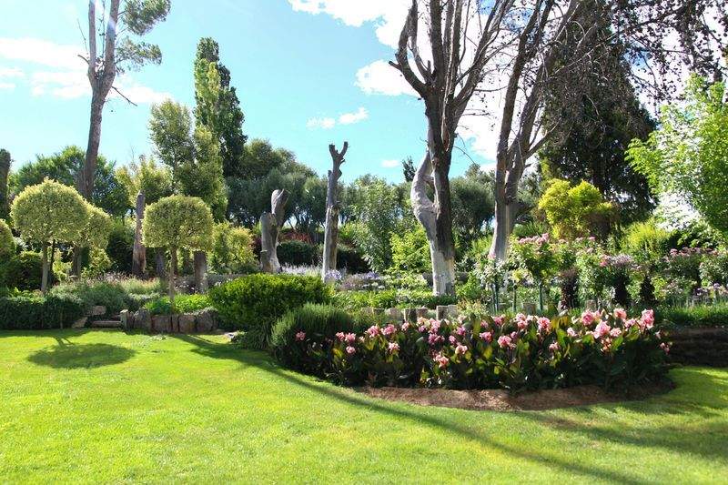 Mulching and soil improvement