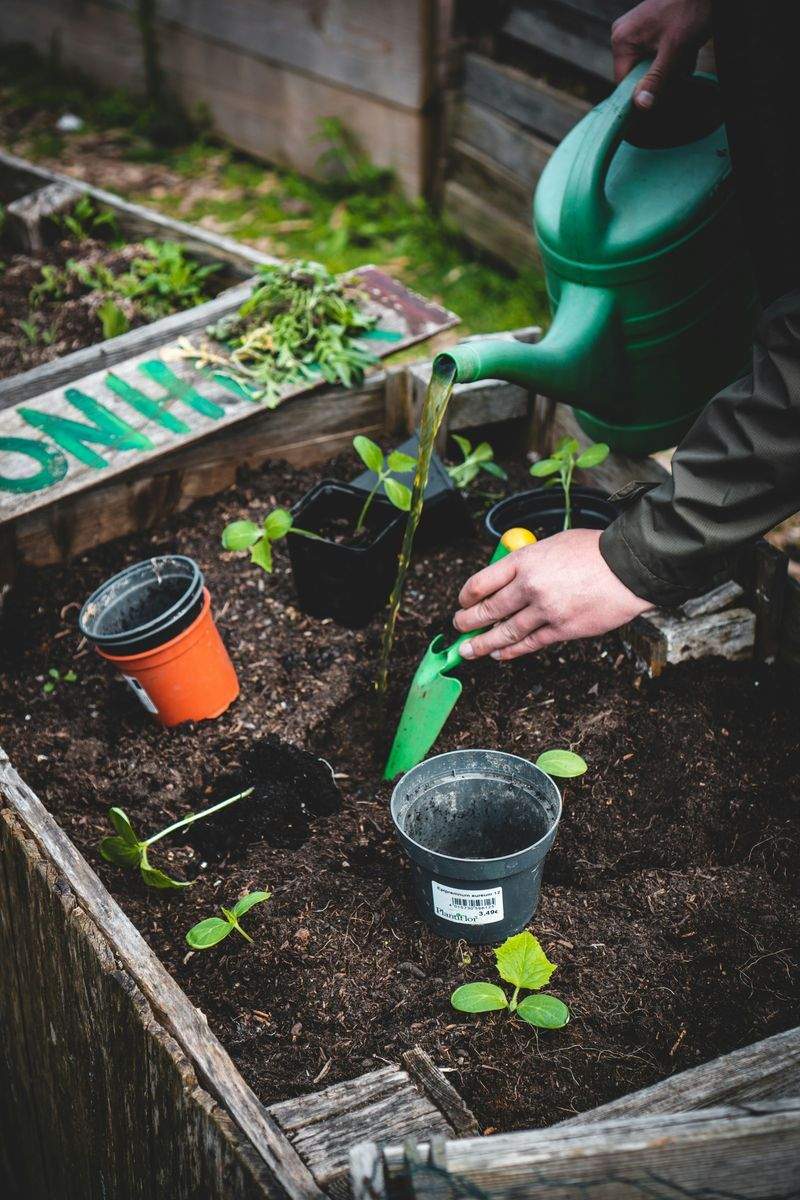 Native plant selection and installation